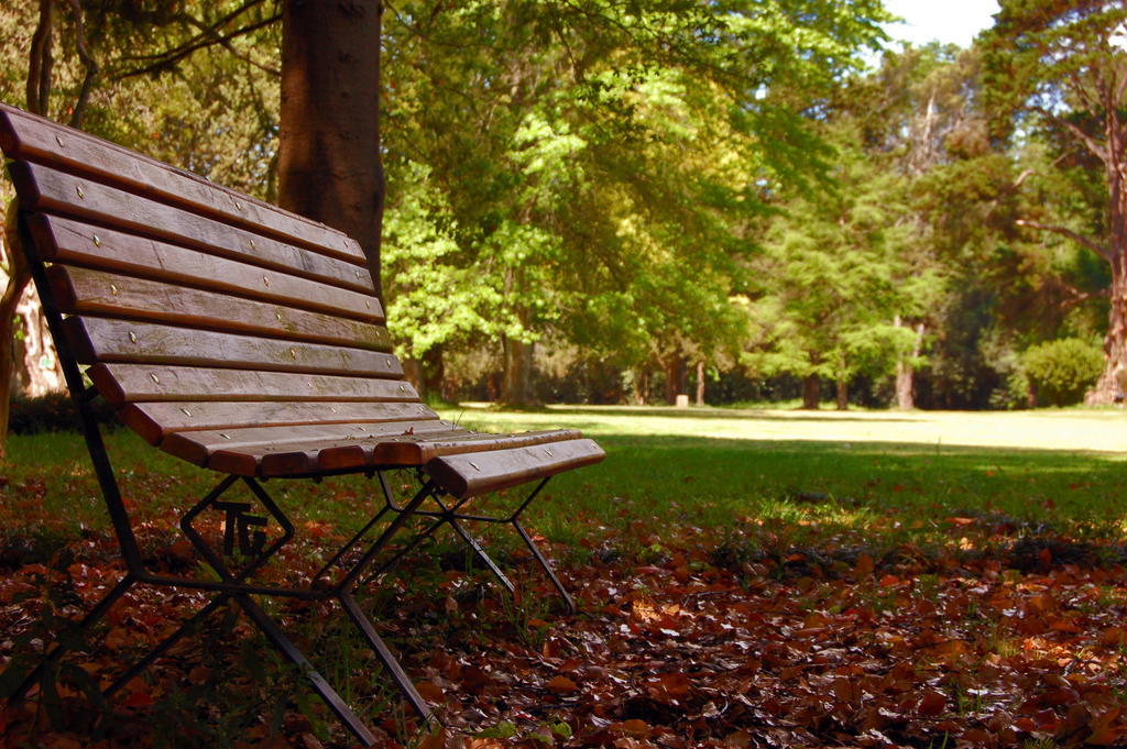 Estancia Monte Viejo Brandsen Εξωτερικό φωτογραφία