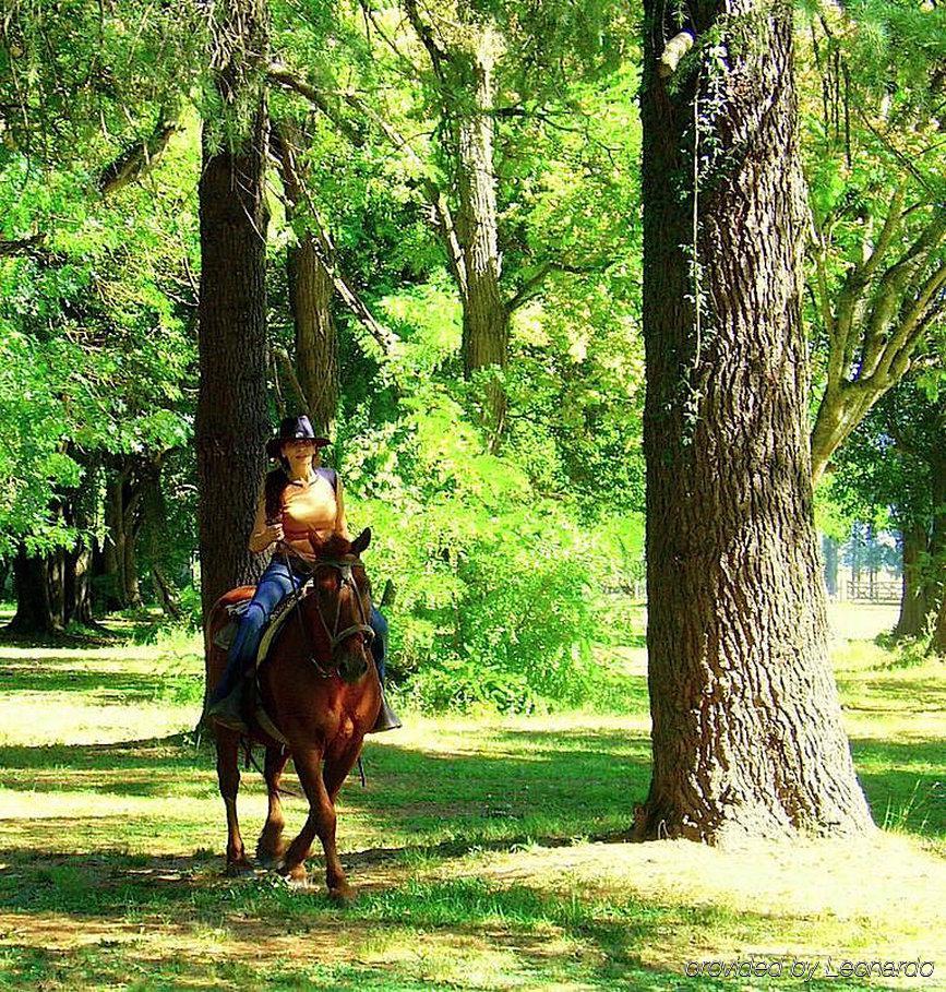 Estancia Monte Viejo Brandsen Εξωτερικό φωτογραφία